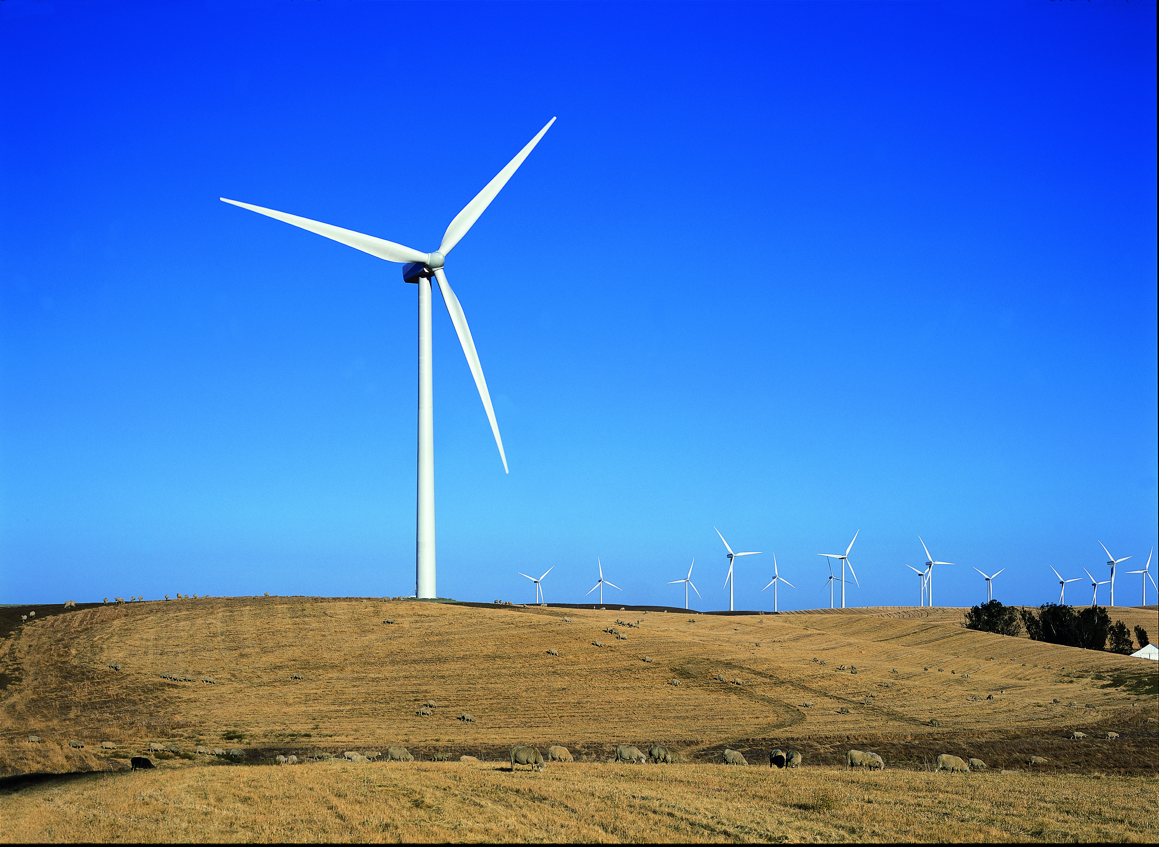 CONSTRUCT (20-25 MINUTES). Build the Wind Turbine